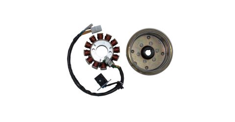 STATOR ASSEMBLY - 150CC - 12 POLE