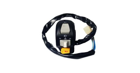 <p>Left Switch Assembly</p> <p>Fits a Z150</p>