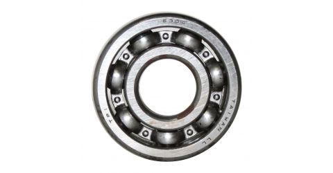 Bearing 6304